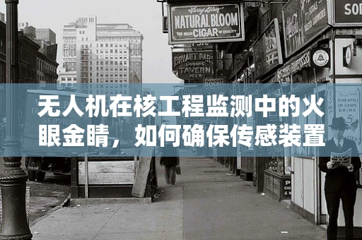 无人机在核工程监测中的火眼金睛，如何确保传感装置的精准与安全？