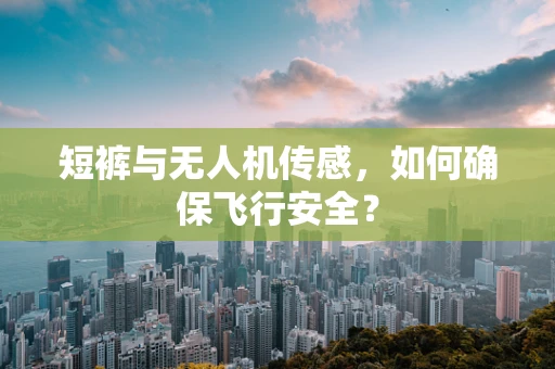 短裤与无人机传感，如何确保飞行安全？