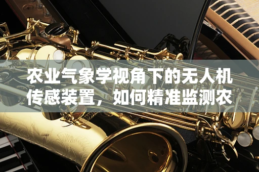 农业气象学视角下的无人机传感装置，如何精准监测农田小气候？
