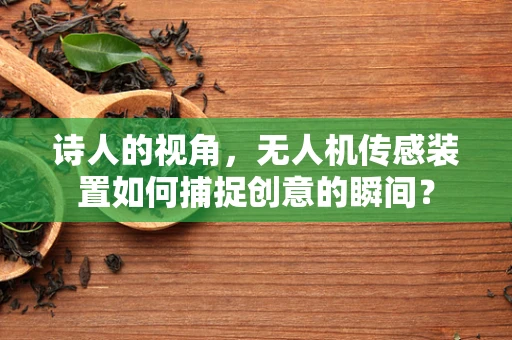 诗人的视角，无人机传感装置如何捕捉创意的瞬间？