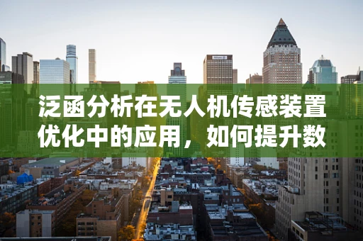 泛函分析在无人机传感装置优化中的应用，如何提升数据处理的精度与效率？
