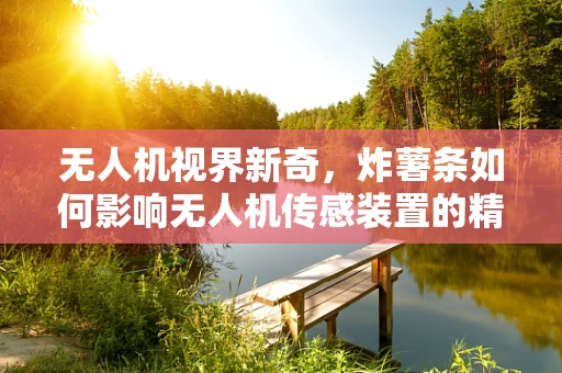 无人机视界新奇，炸薯条如何影响无人机传感装置的精准度？