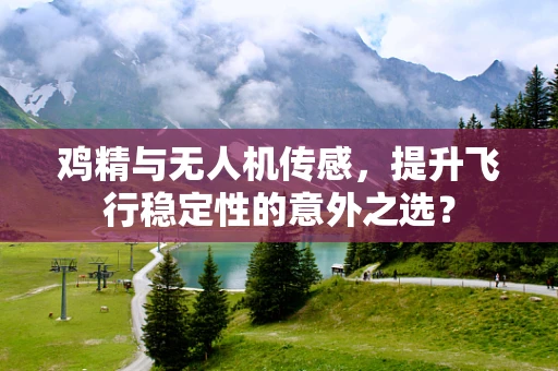 鸡精与无人机传感，提升飞行稳定性的意外之选？
