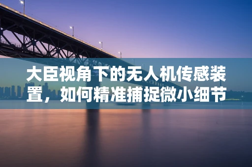 大臣视角下的无人机传感装置，如何精准捕捉微小细节？