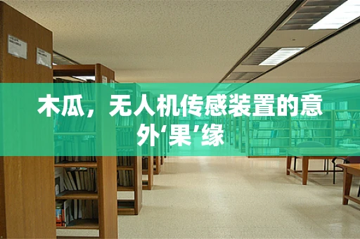 木瓜，无人机传感装置的意外‘果’缘