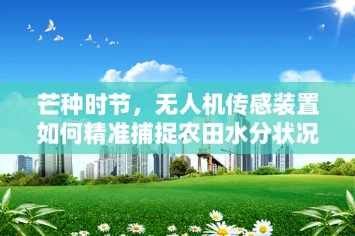 芒种时节，无人机传感装置如何精准捕捉农田水分状况？