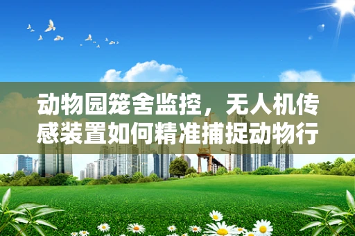 动物园笼舍监控，无人机传感装置如何精准捕捉动物行为？