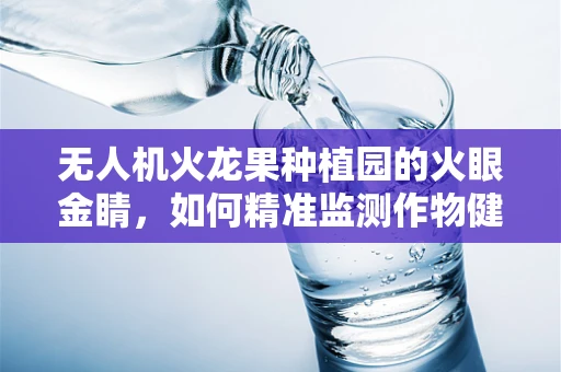 无人机火龙果种植园的火眼金睛，如何精准监测作物健康？