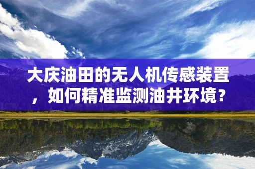 大庆油田的无人机传感装置，如何精准监测油井环境？
