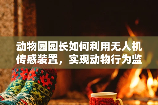 动物园园长如何利用无人机传感装置，实现动物行为监测的精准化？