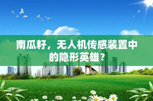南瓜籽，无人机传感装置中的隐形英雄？