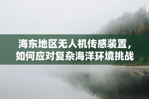 海东地区无人机传感装置，如何应对复杂海洋环境挑战？