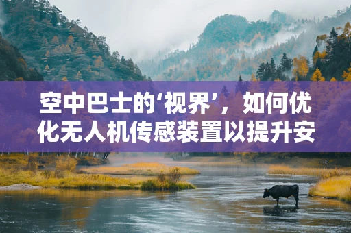 空中巴士的‘视界’，如何优化无人机传感装置以提升安全与效率？
