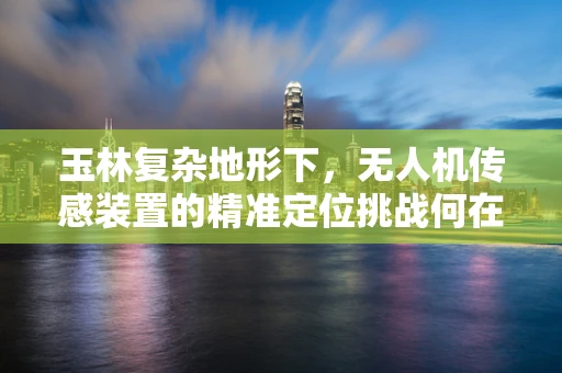 玉林复杂地形下，无人机传感装置的精准定位挑战何在？