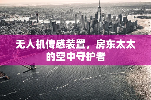 无人机传感装置，房东太太的空中守护者