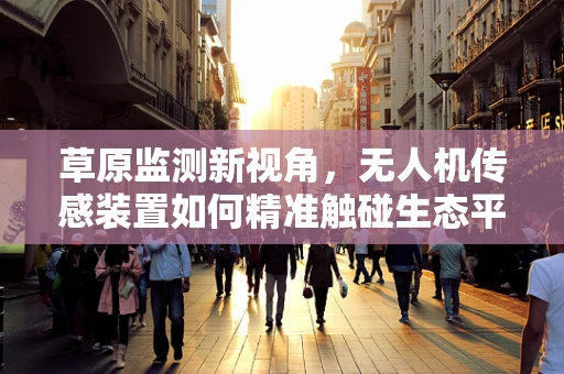 草原监测新视角，无人机传感装置如何精准触碰生态平衡？