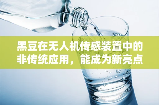 黑豆在无人机传感装置中的非传统应用，能成为新亮点吗？