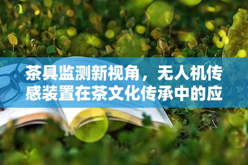茶具监测新视角，无人机传感装置在茶文化传承中的应用之问