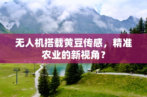 无人机搭载黄豆传感，精准农业的新视角？