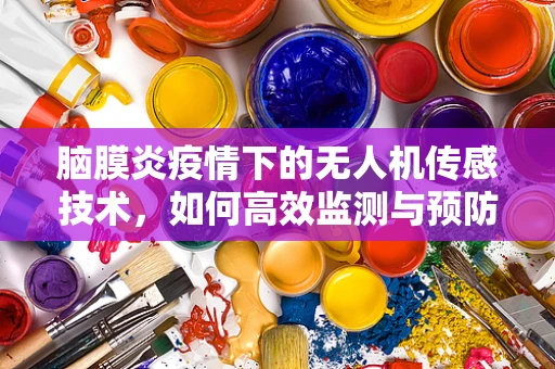 脑膜炎疫情下的无人机传感技术，如何高效监测与预防？