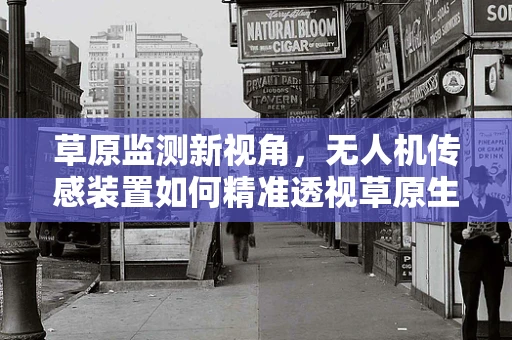 草原监测新视角，无人机传感装置如何精准透视草原生态？
