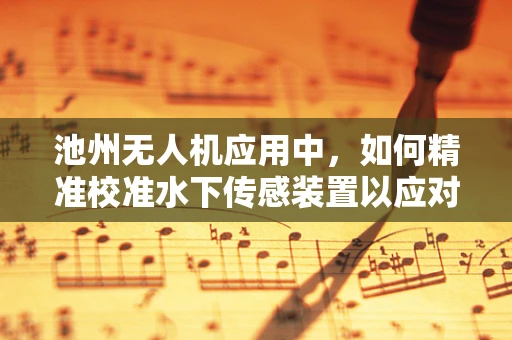 池州无人机应用中，如何精准校准水下传感装置以应对复杂水域环境？