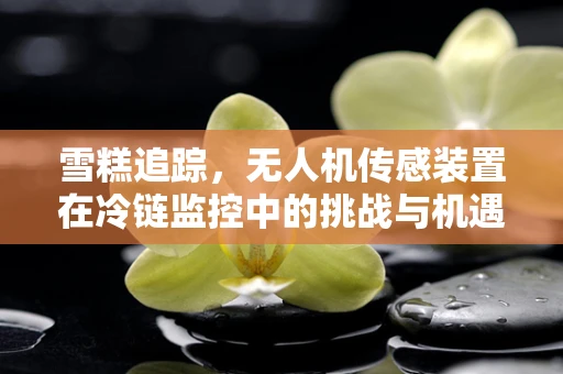 雪糕追踪，无人机传感装置在冷链监控中的挑战与机遇