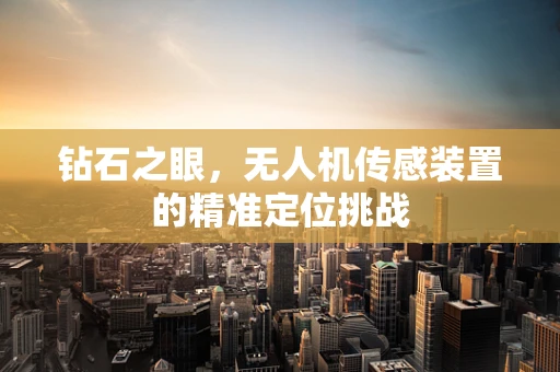 钻石之眼，无人机传感装置的精准定位挑战