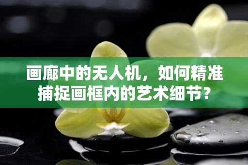 画廊中的无人机，如何精准捕捉画框内的艺术细节？
