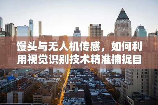 馒头与无人机传感，如何利用视觉识别技术精准捕捉目标？