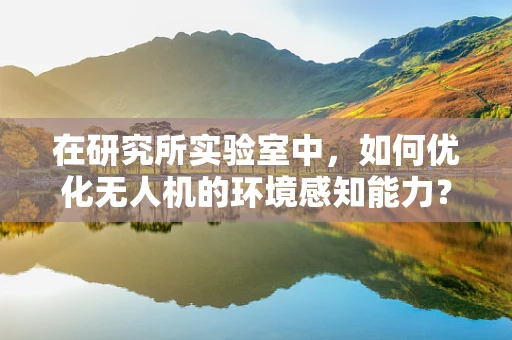 在研究所实验室中，如何优化无人机的环境感知能力？