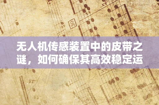无人机传感装置中的皮带之谜，如何确保其高效稳定运行？