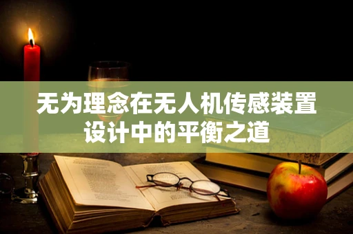无为理念在无人机传感装置设计中的平衡之道
