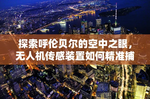探索呼伦贝尔的空中之眼，无人机传感装置如何精准捕捉自然奇观？