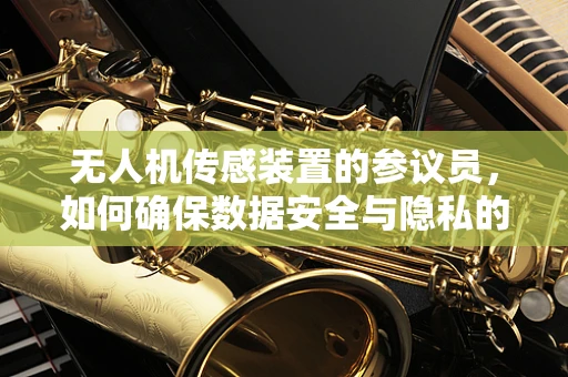 无人机传感装置的参议员，如何确保数据安全与隐私的平衡？