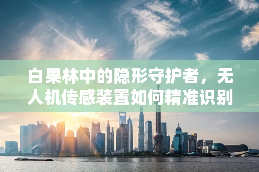 白果林中的隐形守护者，无人机传感装置如何精准识别？