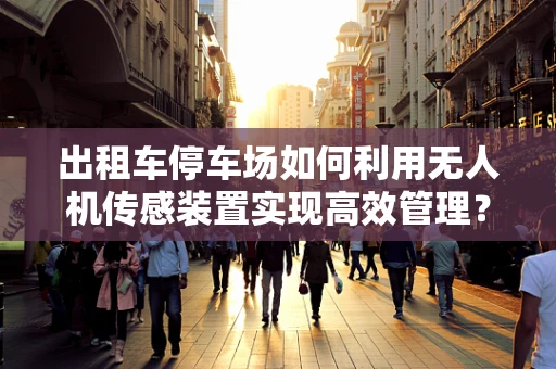 出租车停车场如何利用无人机传感装置实现高效管理？