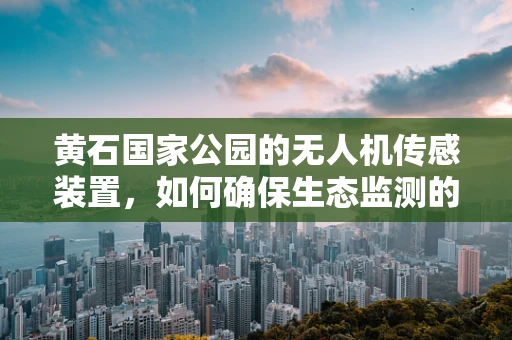 黄石国家公园的无人机传感装置，如何确保生态监测的精准与安全？