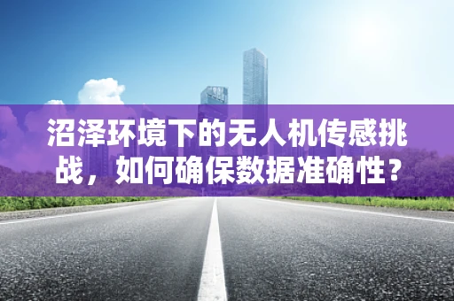 沼泽环境下的无人机传感挑战，如何确保数据准确性？