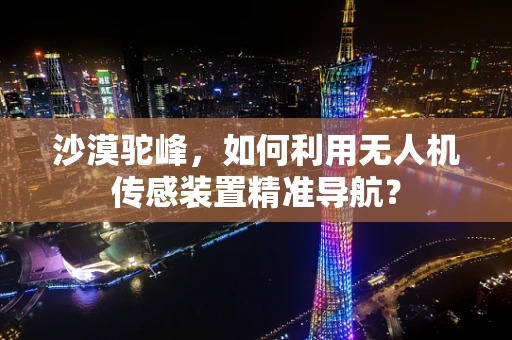 沙漠驼峰，如何利用无人机传感装置精准导航？