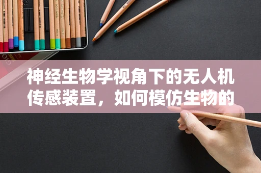 神经生物学视角下的无人机传感装置，如何模仿生物的感知能力？