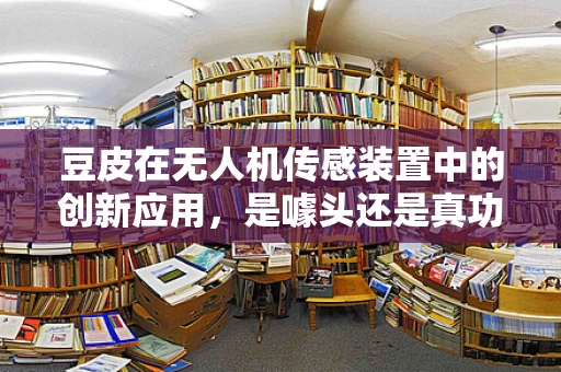 豆皮在无人机传感装置中的创新应用，是噱头还是真功夫？