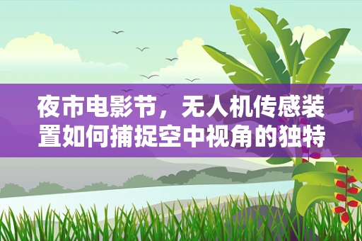 夜市电影节，无人机传感装置如何捕捉空中视角的独特魅力？