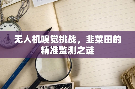 无人机嗅觉挑战，韭菜田的精准监测之谜