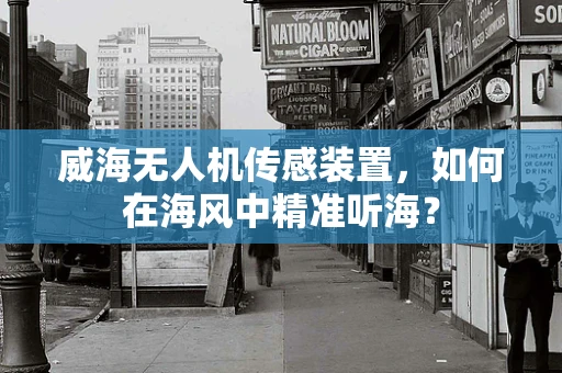 威海无人机传感装置，如何在海风中精准听海？
