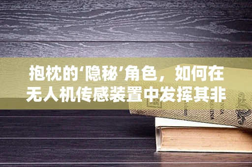 抱枕的‘隐秘’角色，如何在无人机传感装置中发挥其非传统功能？