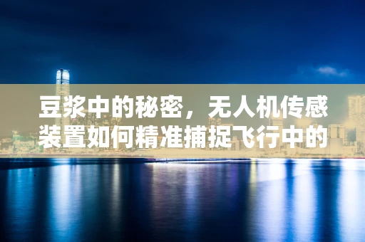 豆浆中的秘密，无人机传感装置如何精准捕捉飞行中的微妙变化？