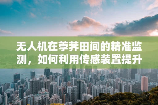 无人机在荸荠田间的精准监测，如何利用传感装置提升作物管理效率？
