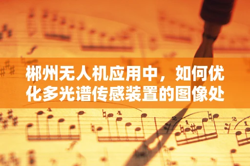郴州无人机应用中，如何优化多光谱传感装置的图像处理算法？