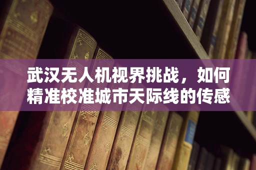 武汉无人机视界挑战，如何精准校准城市天际线的传感装置？